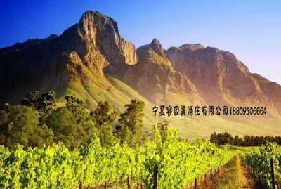 寧夏正宗酒莊聯(lián)系電話-酒莊零售價(jià)格-葡糖酒酒莊