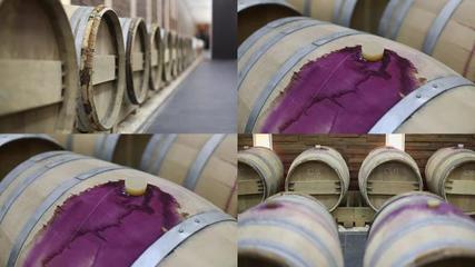 葡萄酒加工葡萄酒加工AE模板下載_光廠(chǎng)(VJ師網(wǎng))