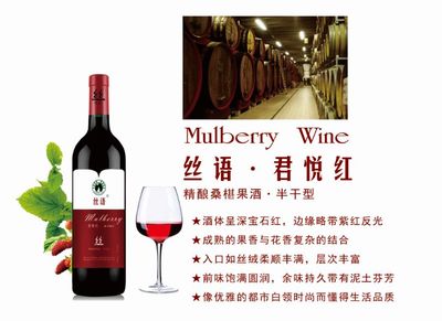 桑葚紅酒廠(chǎng)-酒代加工-酒代理