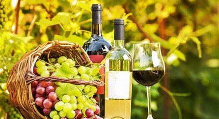 藍(lán)菲葡萄酒學(xué)院丨終于搞清楚有機(jī)葡萄酒、生物動力法葡萄酒了!