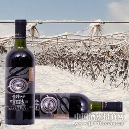 紫隆山紅寶石冰酒 品味時(shí)光凝萃，共創(chuàng)財(cái)富未來——通化紫隆山葡萄酒廠火熱招商